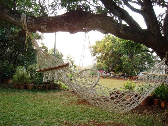 V Resorts Mahua Bagh Murud Nāndgaon Exteriör bild